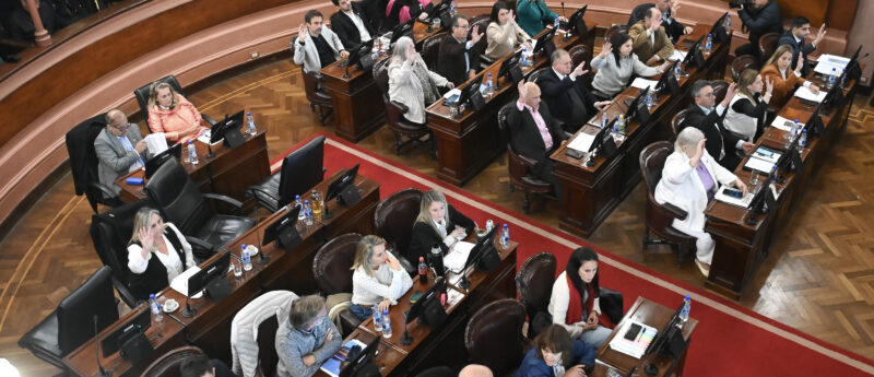 Diputados aprobó la adhesión a la Ley Olimpia sobre violencia de género digital